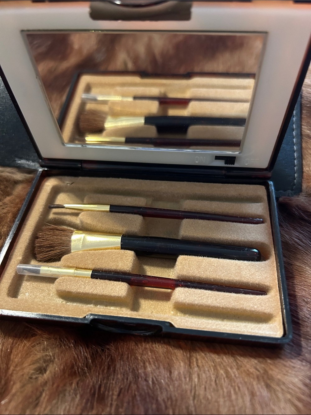Compact, Makeup Brush Set, Lighted in Faux Tortoiseshell